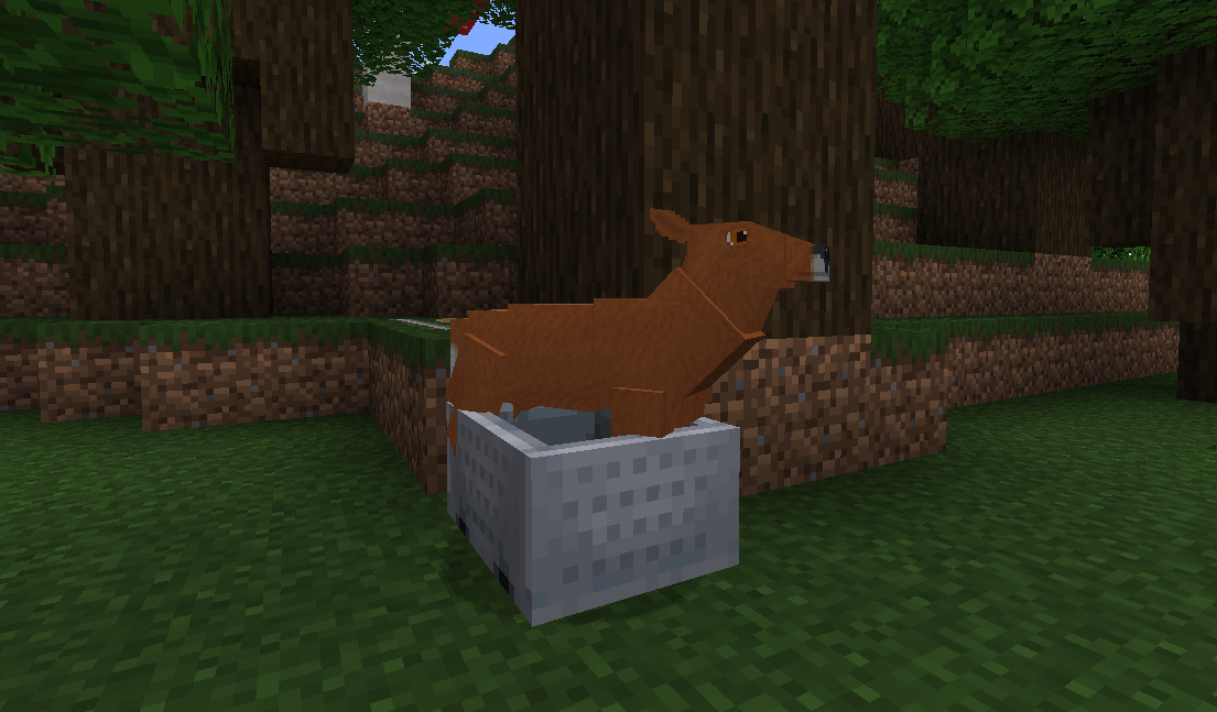 Animal – Minecraft Wiki